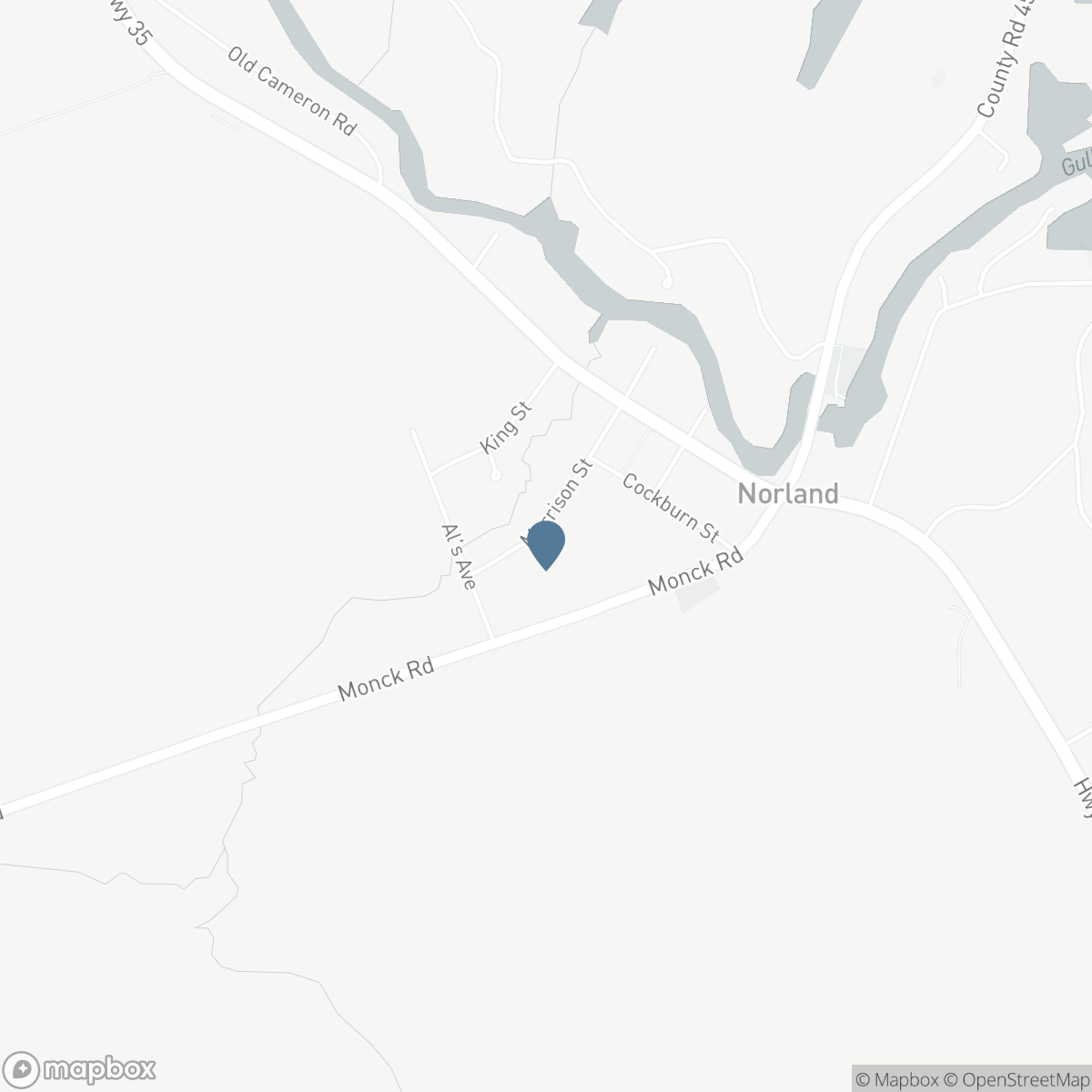 14 MORRISON STREET, Coboconk, Ontario K0M 2L0